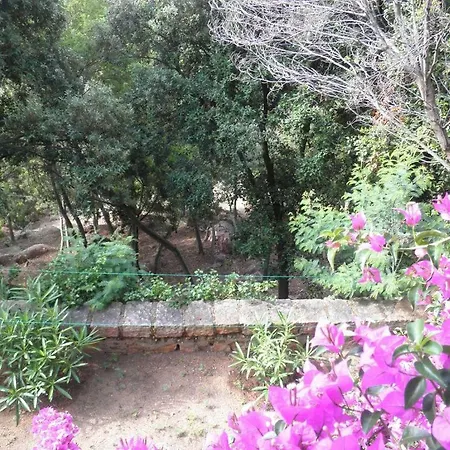Monte Mare Porto Semesterbostad *