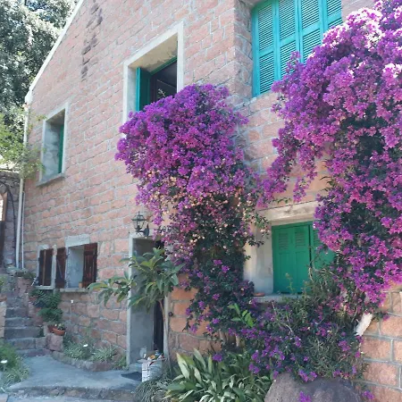Holiday home Monte Mare Porto